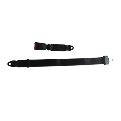 HC-B-47018: Coach Interior Bus Seat Safety Belt