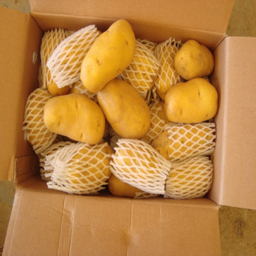 Chinese Fresh Potato with Gansu Origin /High Quality