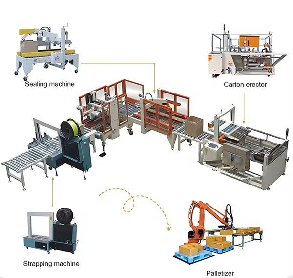 Wuxi Transfo's Intelligent Post-Packaging Production Line Lands in Pharmaceutical Industry, Helping Achieve GMP Compliance Upgrade