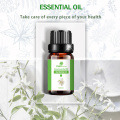 Gardenia Essential Oil for Aromaterapy Cosmetics Massage