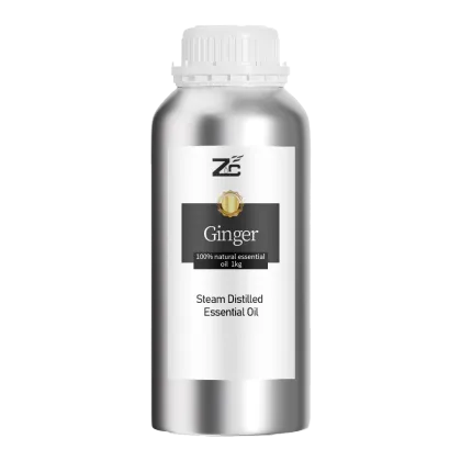 Nature ginger essential oil ginger oil