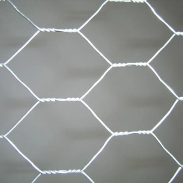 1/2' Hot DIP Galvanized Hexagonal Wire Mesh Poultry Netting Chicken Wire  Mesh - China 0.55mm Hot DIP Galvanized Hexagonal Wire Mesh, Galvanized  Hexagonal Wire Netting