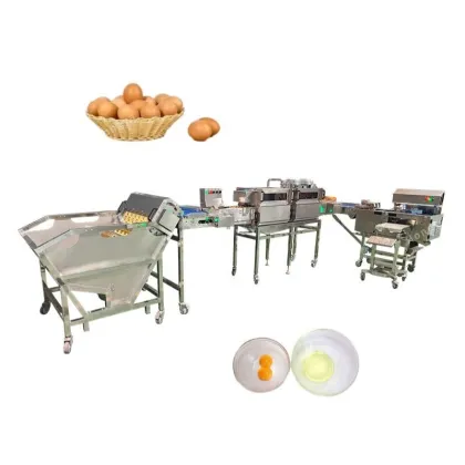 Industrial Egg Washing, Drying, Sterilization, Inspection, and Separation Machine