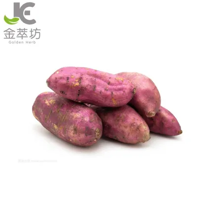 Dehydrated Sweet Potato Powder