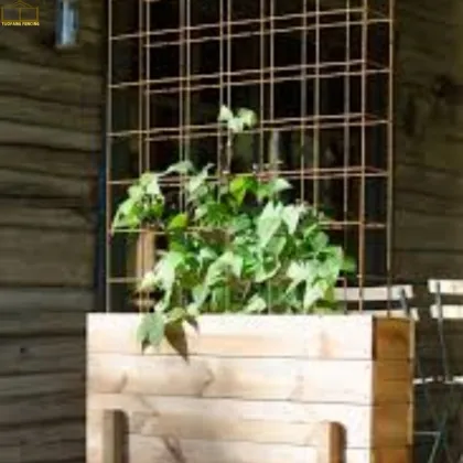 Environmentally Safe Mesh Fencing Materials