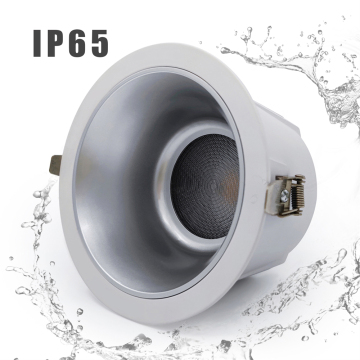 Australian Standard IP65 Commercial 18W/20W COB LED Waterproof Recessed Downlight