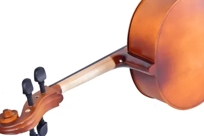 Tayste Quality Maple Cello 4/4