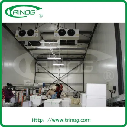 Market price Shiitake mushroom farm for sale