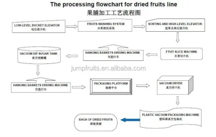 Dried fruit processing line/raisins making line