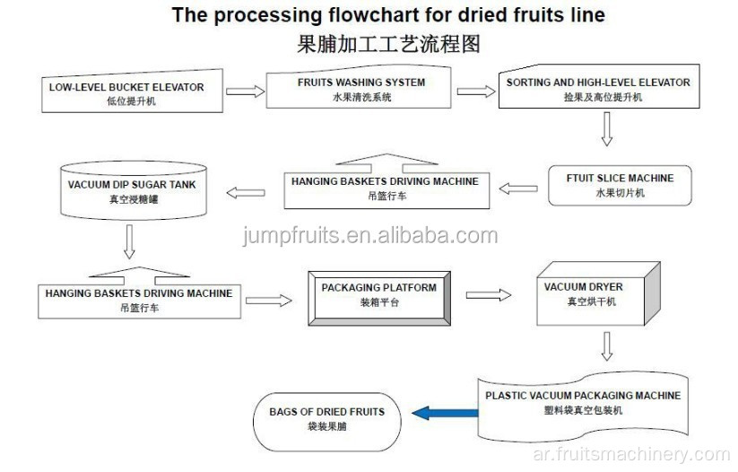 خط معالجة الفاكهة المجففة/زبيب صنع خط