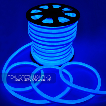 Outdoor 24V LED 14*26MM Blue Flex Neon Rope Light