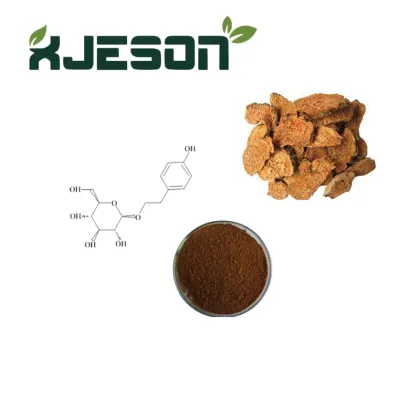 High Quality Rhodiola Rose Extract