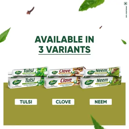DABUR Herb'L Neem Germ Organic Toothpaste 200g