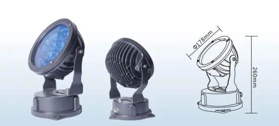 IP65 12*3W Outdoor LED Spot Light