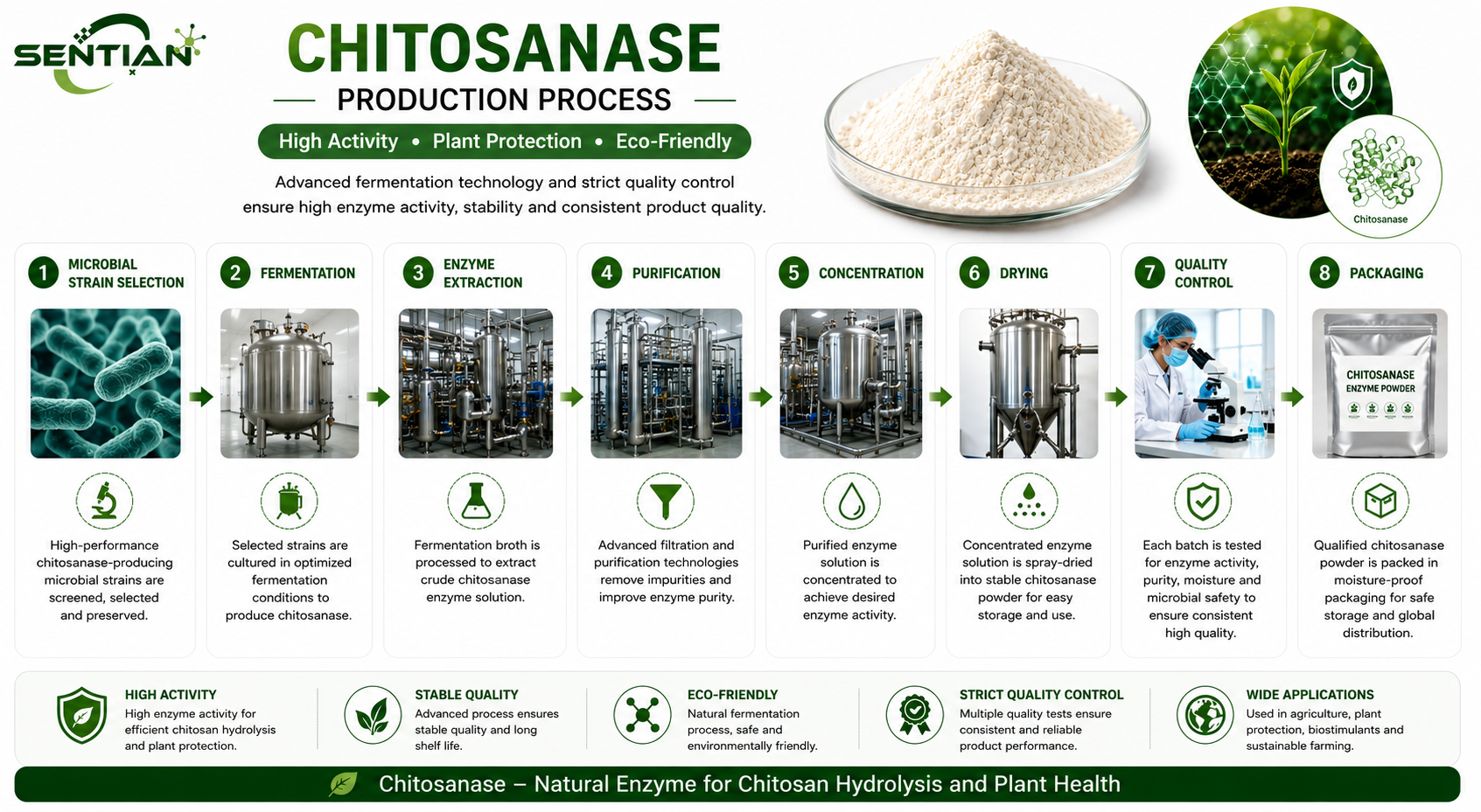 Chitosanase
