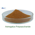 Supply Astragalus Root Extract Cycloastragenol 98%