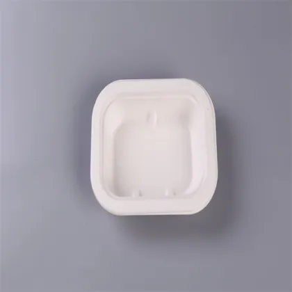 Biodegradable Tableware Food Packaging Bagasse Container