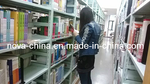 Stable and Beautiful School Library Bookshelf