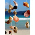 Bag Packed Natural Mixed Sea Shell For Decoration
