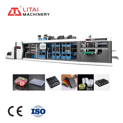 Litai Machinery Fully Automatic 4-Station Seed Tray Making Machine