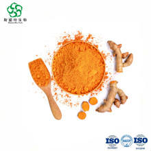 Estratto di curcuma organico sfuso 95% Curcuminoidi