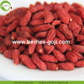 Buy Wholesale Bulk Price Low Pesticide Goji Berry