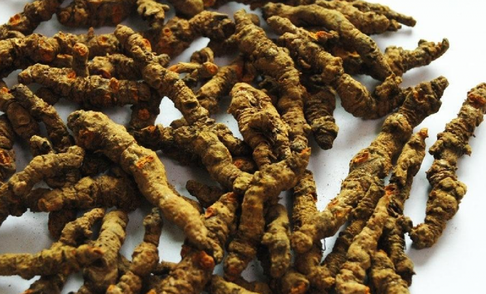 Perubatan herba Cina untuk gastroenteritis