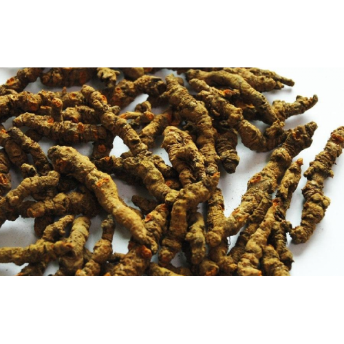 Chinese herbal Medicine for gastroenteritis