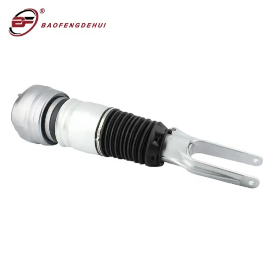 Air Ride Front Suspension Air Spring Assembly for Porsche Panamera 970 (2009-2013)
