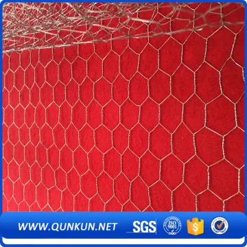 Stainless Steel Hexgonal Wire Netting