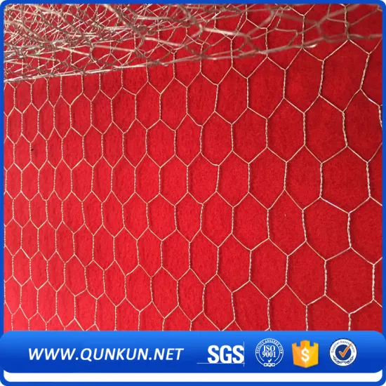Stainless Steel Hexgonal Wire Netting