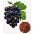 Grape seeds extract cas 84929-27-1