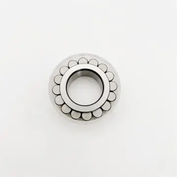 RSL182312-A Cylindrical Roller Bearing 60x115.62x46 mm