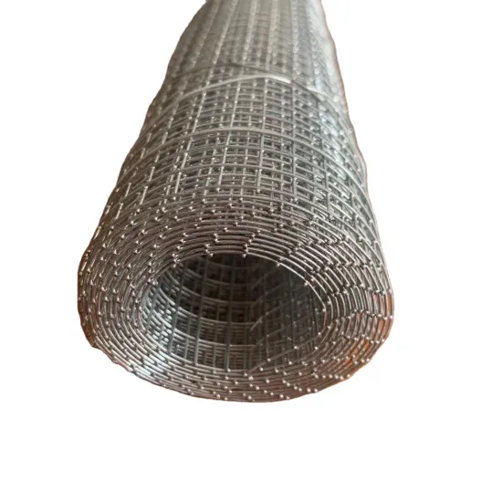 Free Sample Trade Assurance Welded Wire Mesh