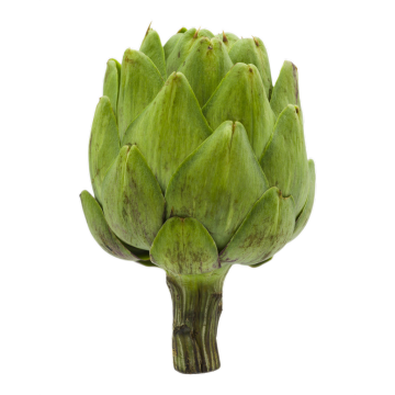 The high quality of Artichoke Extract 2.5%