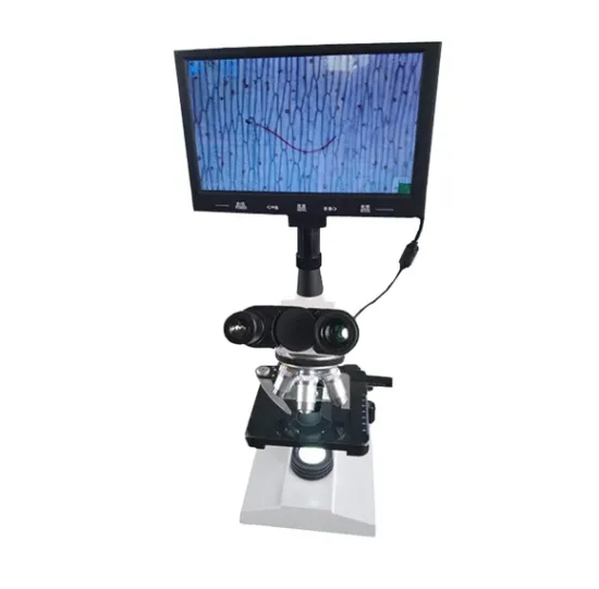Z110-THD9 9\" LCD Screen Bright Field USB Digital Microscope: Advanced Imaging Tool
