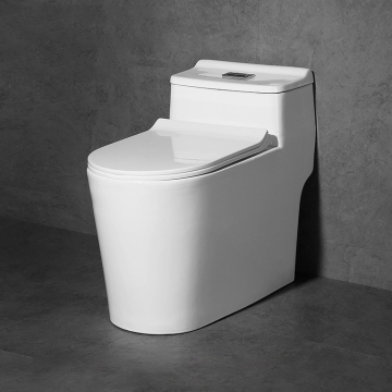 Modern Hotel Home White Sanitary Ware - One Piece Siphon Washdown WC Toilet Bowl for Sale