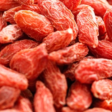 Fresh Organic goji berries dried wolfberries for sale