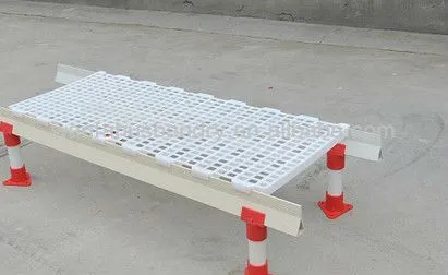 animals Type and Chicken Use plastic slat floor for sheep
