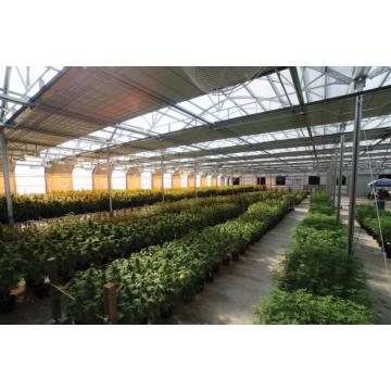 Agriculture Light Deprivation Blackout Greenhouse