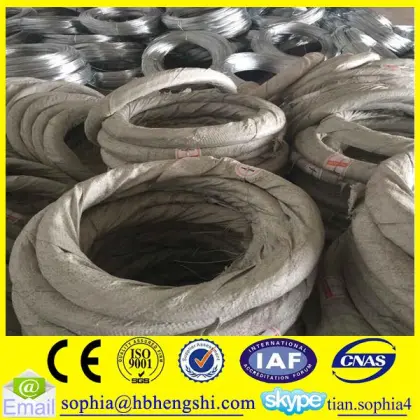 electro galvanized annealed iron wire/iron wire/iron wire coil