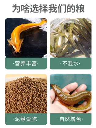 Floating Feed Configuration for Loach 320F