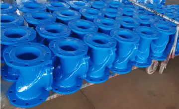 Sewage Perforated Y strainer