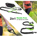 Bungee Hands Free Dog Leash