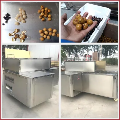 Longan Seeds Pitter Machine | Green Plum Cherry Pitting Equipment