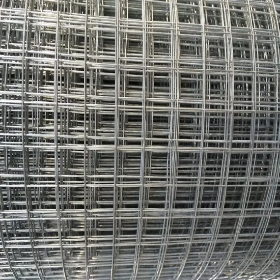 FACTORY 1/2inch/1inch/2inch cheap galvanized welded rabbit cage wire mesh