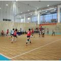 PVC-Volleyballplatz-Bodenfliesen