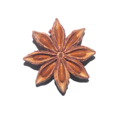 Natural Star Anise Extract Powder