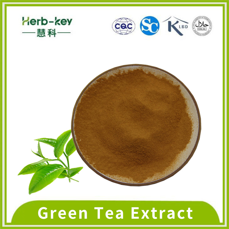 Antioxidante 50% Tea Polifenol Extrato de chá verde