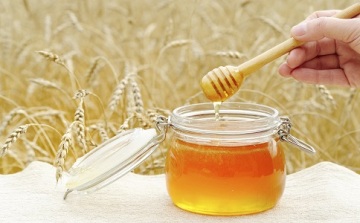 Bulk 100% Pure Raw Honey Sales